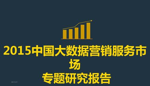 2017年互联网大数据营销服务行业分析研究报告