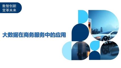 大数据在商务服务中的应用 洞察与解读